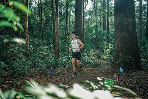 BIB: 
                            <button type="button" onclick="openModal(26068273)" class="btn btn-primary btn-sm float-right btn-popup" data-toggle="modal" data-target=".modal-high-quality">
                        <i class="fas fa-shopping-cart"></i> Add to Cart
                    </button>
                                            <button type="button" onclick="isThisMe(26068273, true)" class="btn btn-success btn-sm float-right btn-popup btn-isme hidden" data-toggle="tooltip" data-placement="bottom" title="นี่คือรูปของคุณใช่ไหม คลิกที่นี่เพื่อเอาเข้าอัลบั้ม">
                        <i class="fas fa-plus"></i> Add to album
                    </button>
                    <button type="button" onclick="isThisMe(26068273, false)" class="btn btn-warning btn-sm float-right btn-popup btn-isnotme hidden">
                        <i class="fas fa-ban"></i> Remove from album
                    </button>